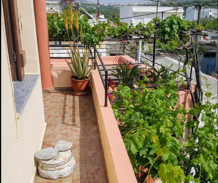 Traditional Residence With Terrace Latsida 外观 照片